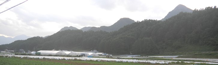イメージ 8
