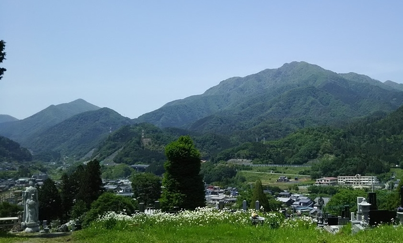 イメージ 15