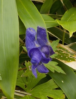 f:id:coolpain19:20190912211008j:plain f:id:coolpain19:20190912211008j:plain