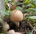 20190920141141