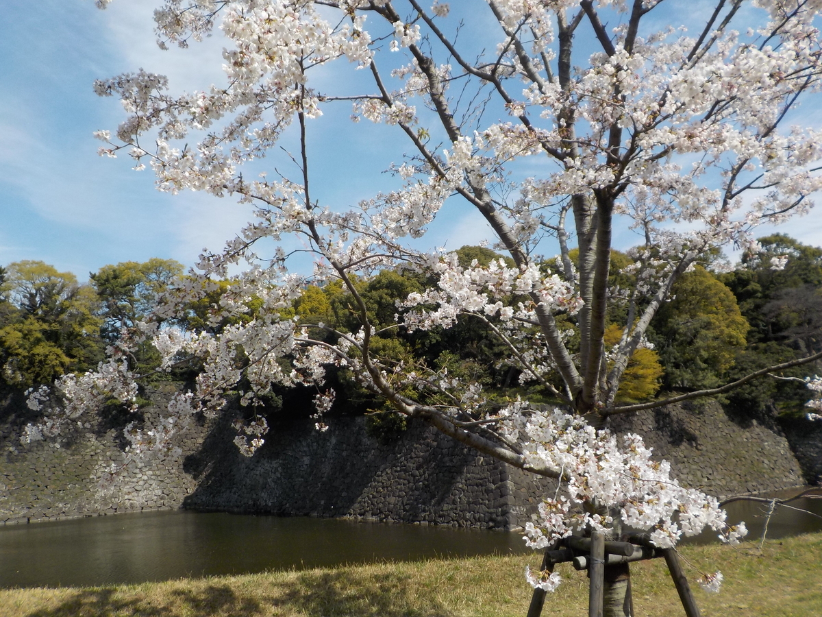 f:id:coolpain19:20191229124150j:plain f:id:coolpain19:20191229124150j:plain