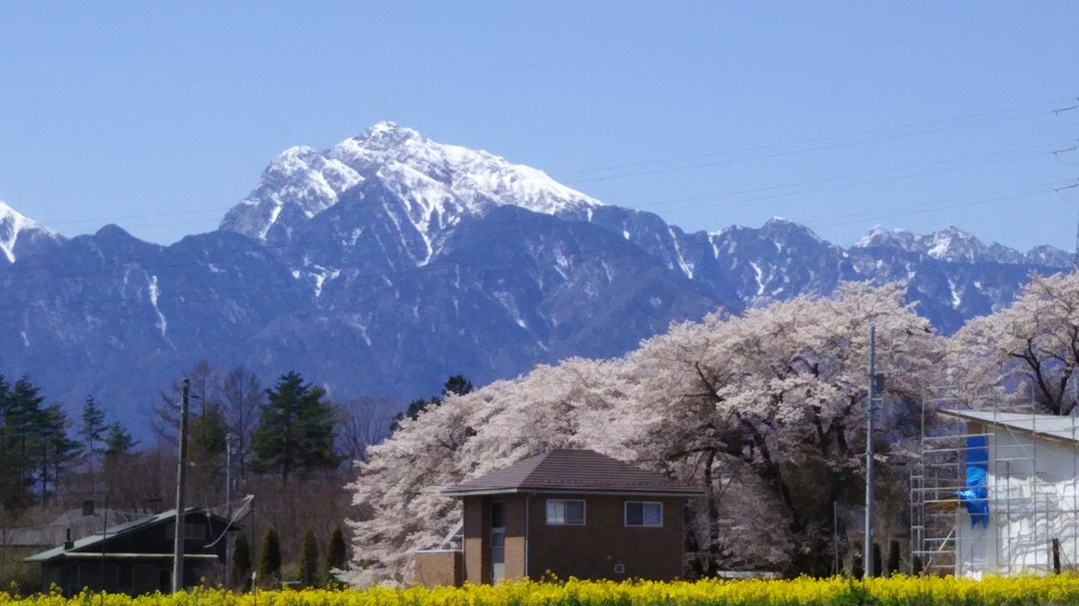 f:id:coolpain19:20191229125659j:plain f:id:coolpain19:20191229125659j:plain