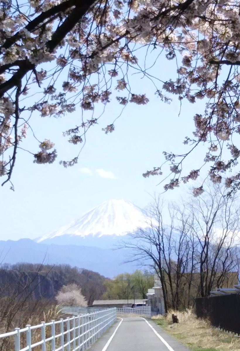 f:id:coolpain19:20191229131054j:plain f:id:coolpain19:20191229131054j:plain