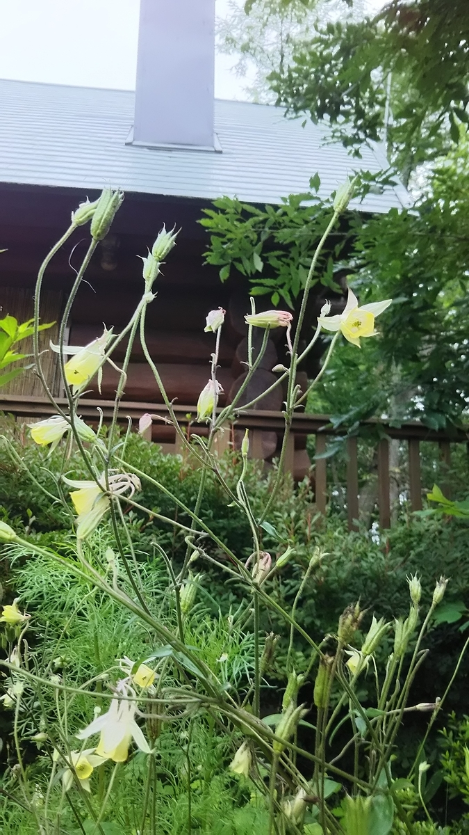 f:id:coolpain19:20191229195417j:plain f:id:coolpain19:20191229195417j:plain