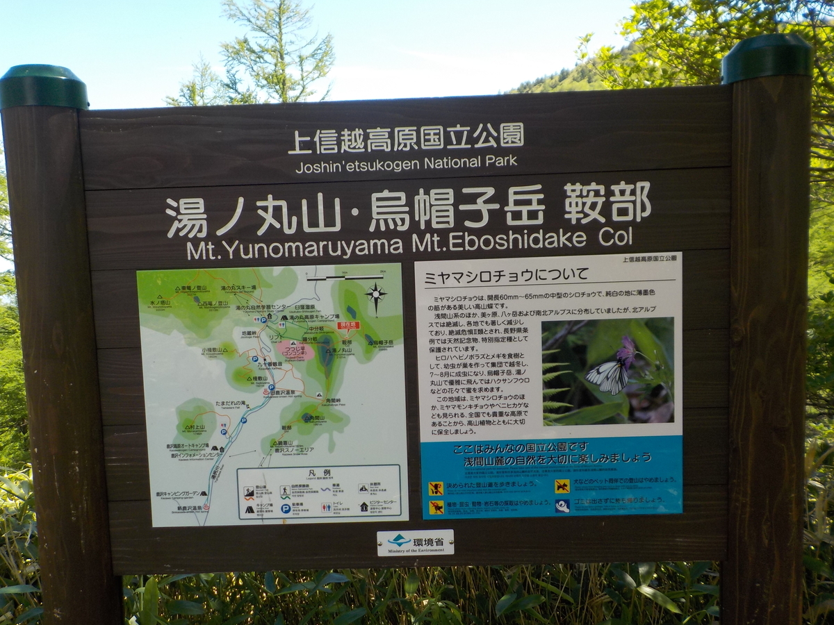 f:id:coolpain19:20200617224252j:plain f:id:coolpain19:20200617224252j:plain