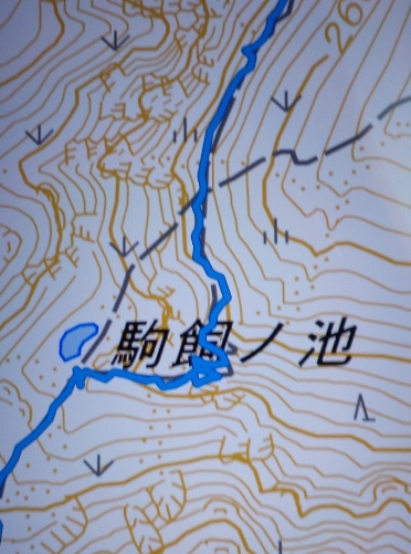 f:id:coolpain19:20200807170850j:plain f:id:coolpain19:20200807170850j:plain
