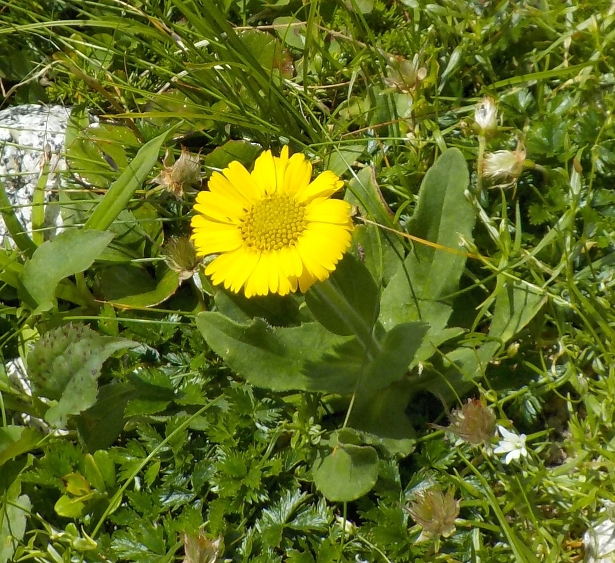 f:id:coolpain19:20200808232111j:plain f:id:coolpain19:20200808232111j:plain