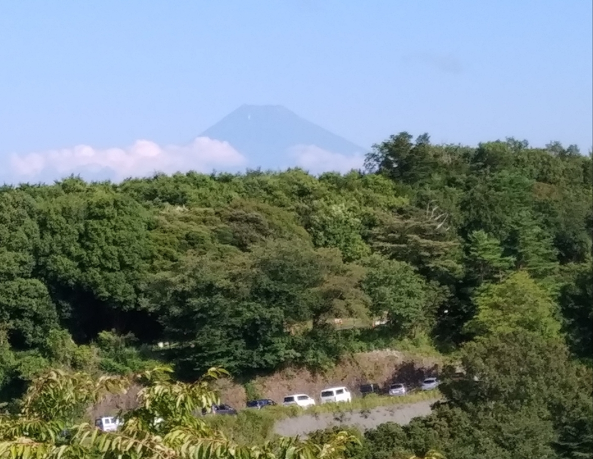 f:id:coolpain19:20210725113004j:plain