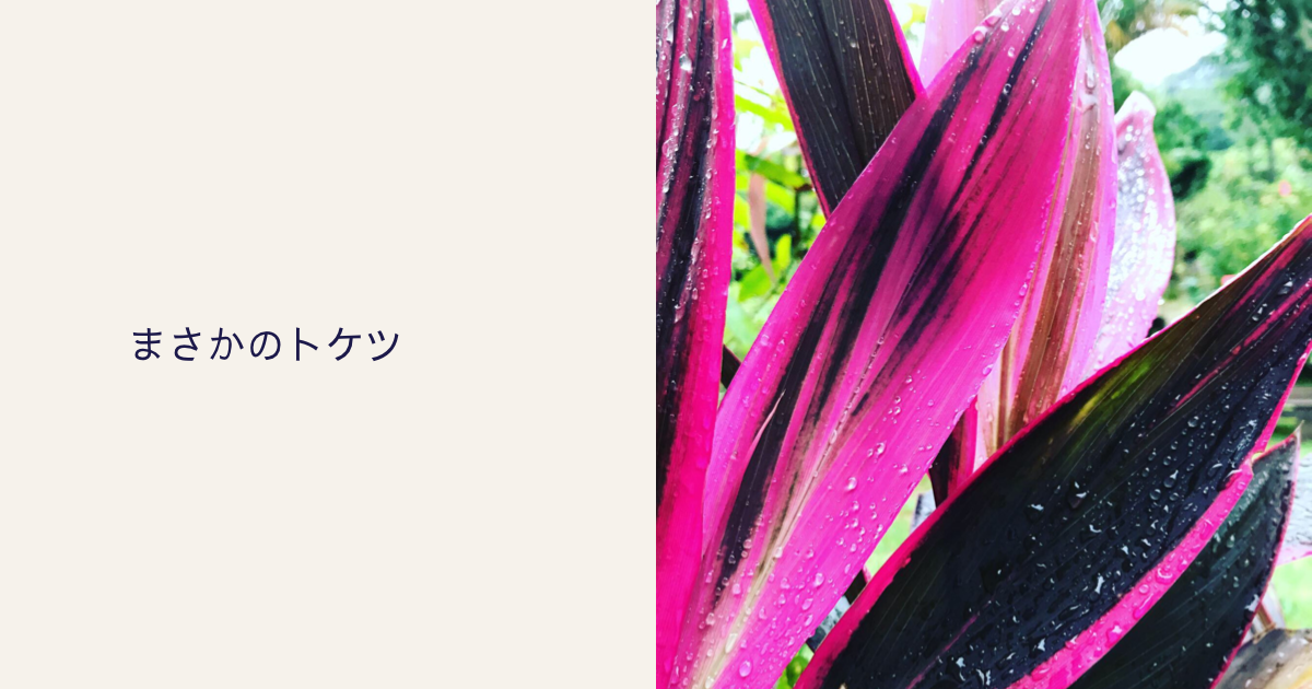 まさかのトケツ