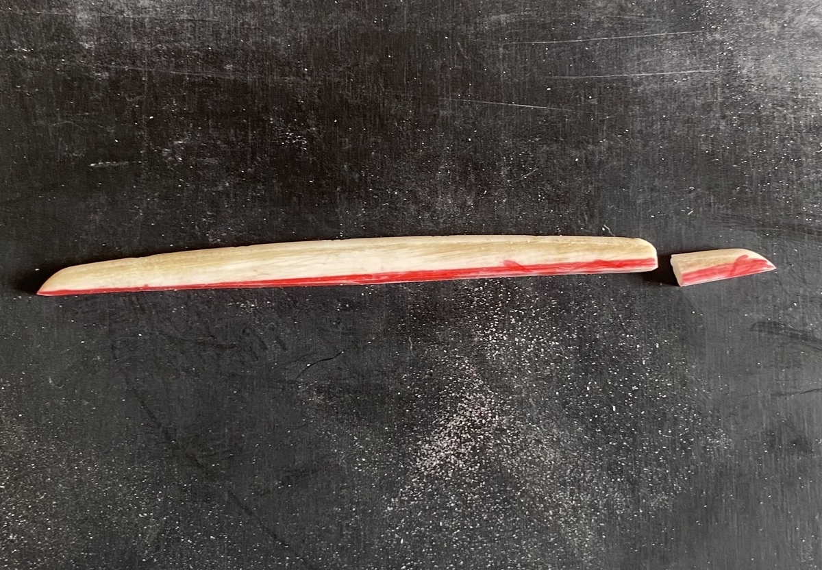 f:id:coomori:20211024183437j:plain