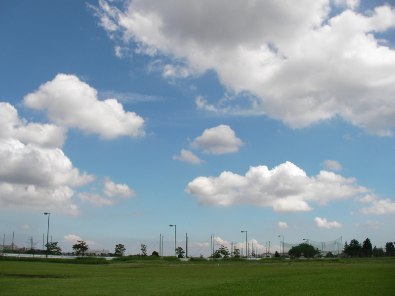 20110109020541