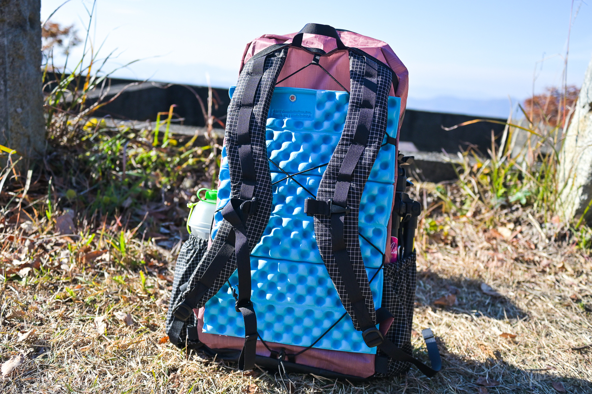 PEDESTRI Whiplash 18L Mサイズ blue