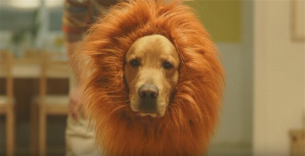 f:id:coper-stage:20160831001400j:image f:id:coper-stage:20160831001400j:image