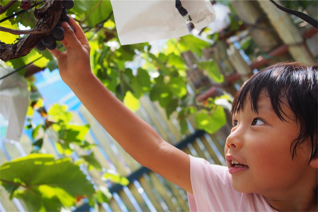 f:id:coper-stage:20160911212423j:image f:id:coper-stage:20160911212423j:image