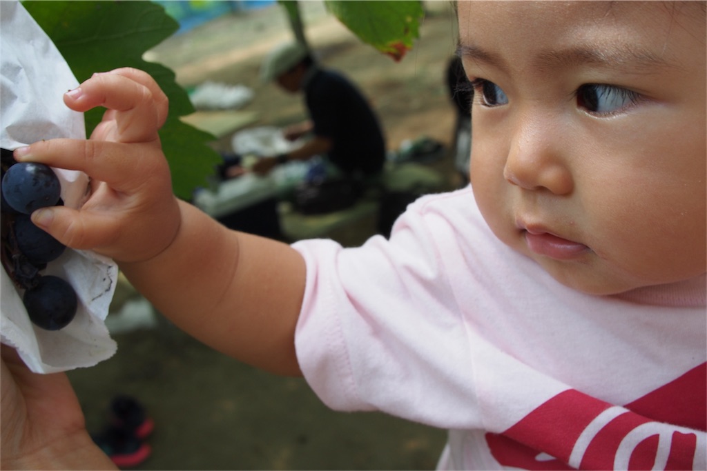 f:id:coper-stage:20160911212507j:image f:id:coper-stage:20160911212507j:image