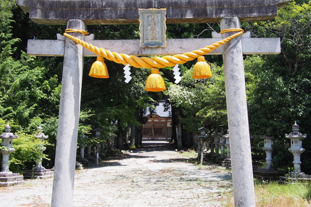 f:id:coper-stage:20170602230508j:plain
