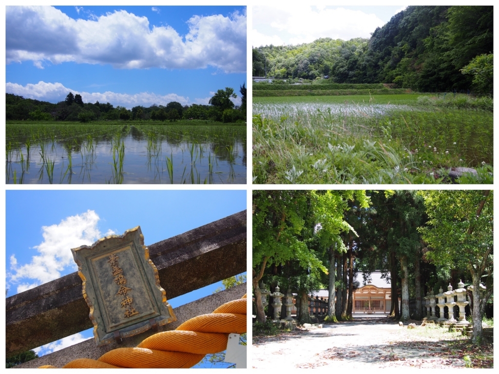 f:id:coper-stage:20170608014328j:plain f:id:coper-stage:20170608014328j:plain