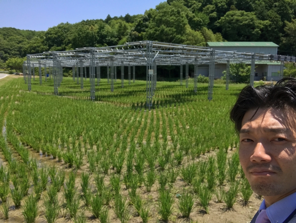 f:id:coper-stage:20170619145025j:plain