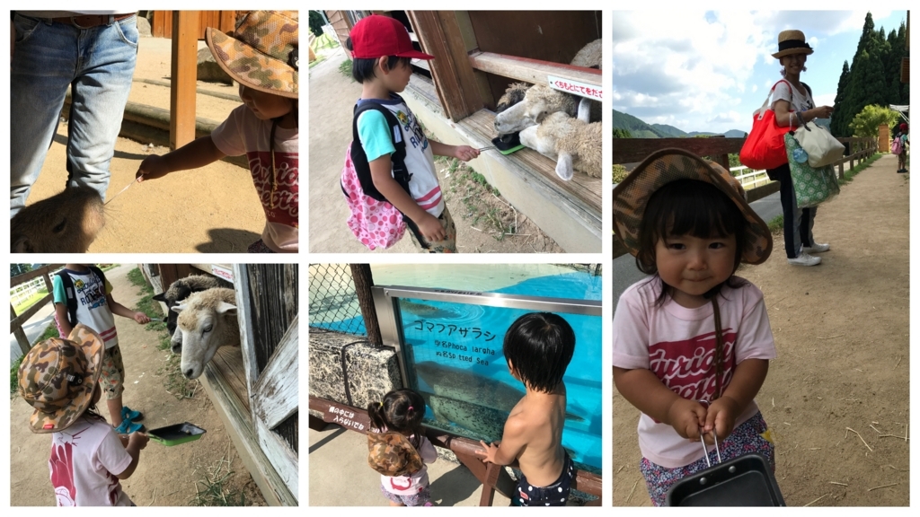 f:id:coper-stage:20170809001741j:plain