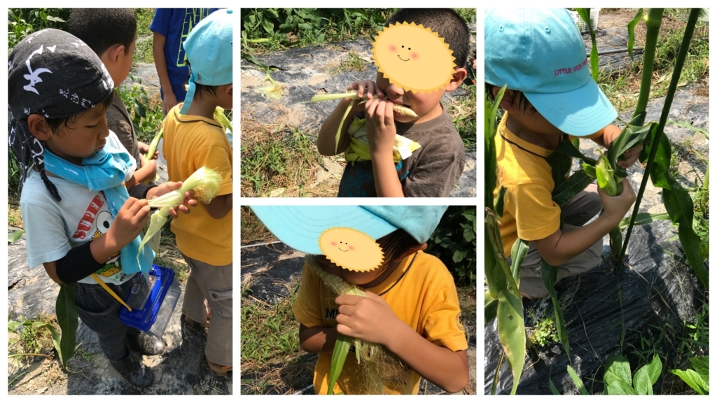 f:id:coper-stage:20170913145837j:plain f:id:coper-stage:20170913145837j:plain