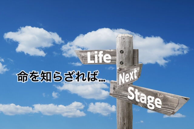 f:id:coper-stage:20181113203213j:plain