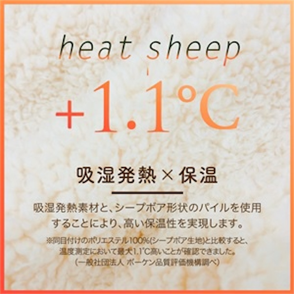 f:id:copichoa:20220123040136j:image f:id:copichoa:20220123040136j:image