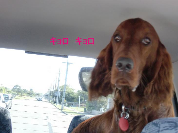 20100307123648