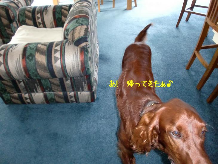 20100319094304
