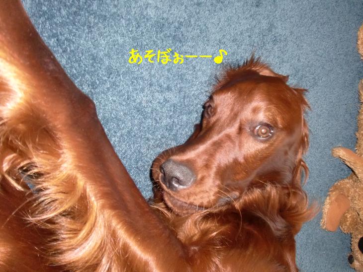 f:id:coppa06:20100405125619j:image f:id:coppa06:20100405125619j:image