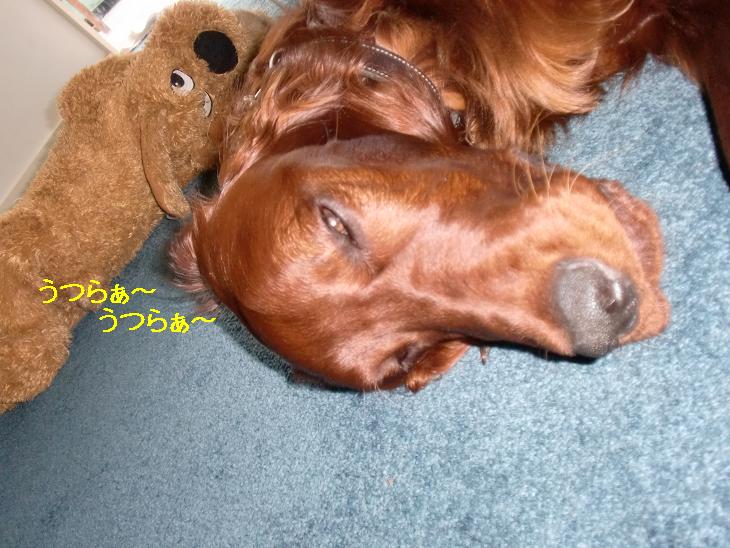 f:id:coppa06:20100405125632j:image f:id:coppa06:20100405125632j:image
