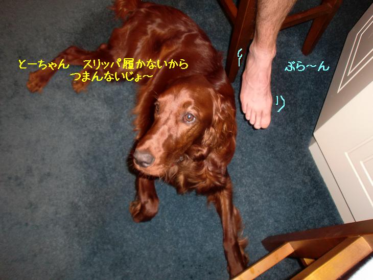 f:id:coppa06:20100413164515j:image f:id:coppa06:20100413164515j:image