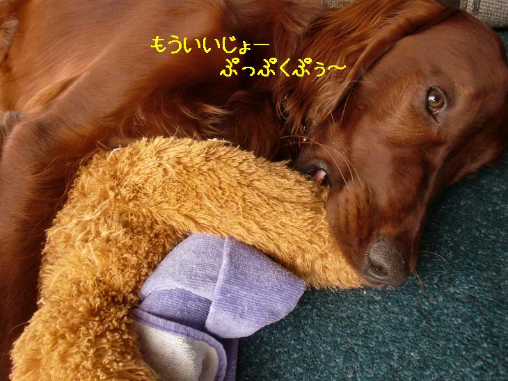 20100426075530