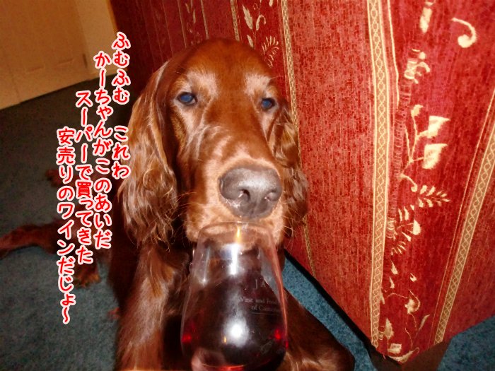f:id:coppa06:20100426190928j:image f:id:coppa06:20100426190928j:image