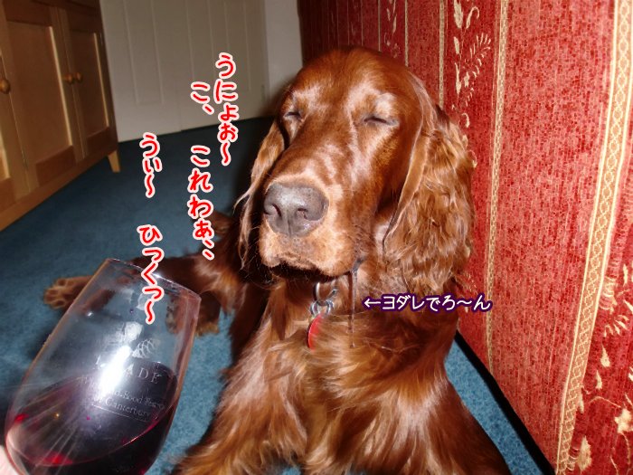 f:id:coppa06:20100426190942j:image f:id:coppa06:20100426190942j:image