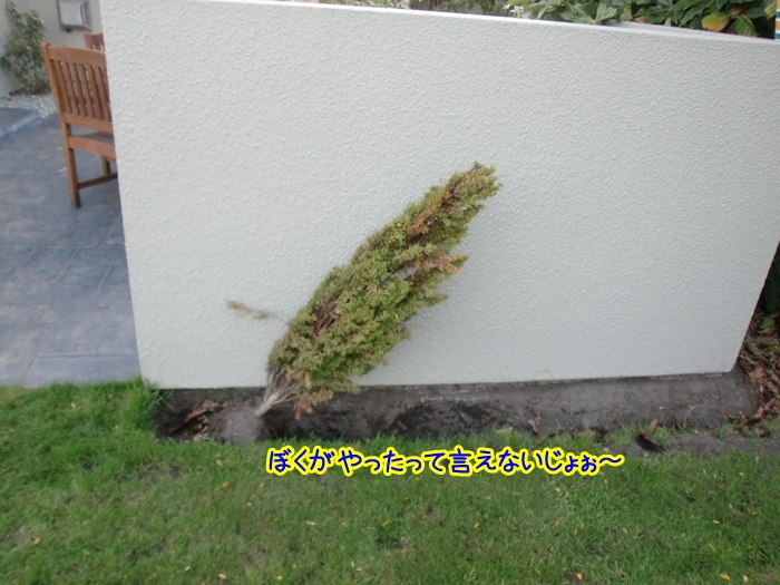 20100513140735
