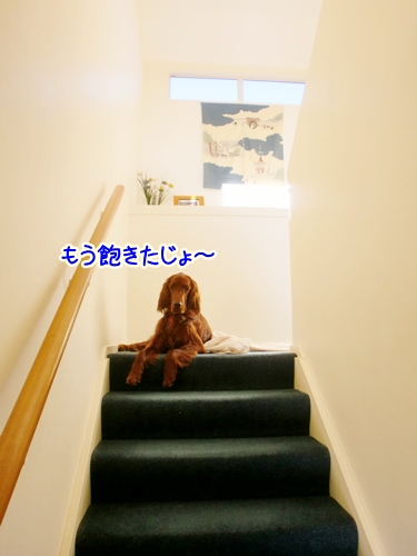 20100613154134
