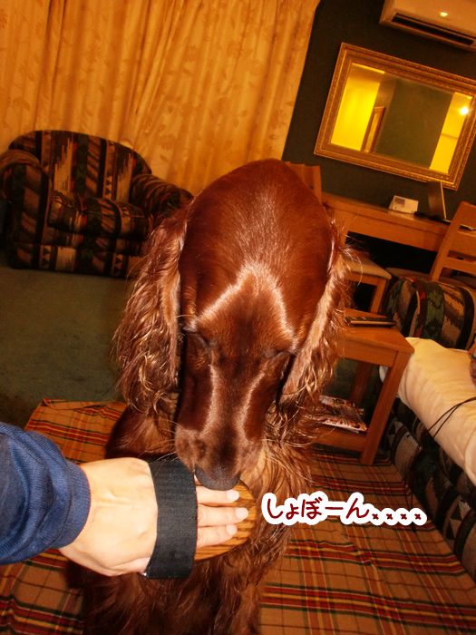 f:id:coppa06:20100724164148j:image f:id:coppa06:20100724164148j:image