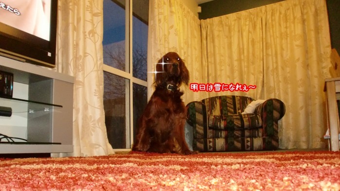f:id:coppa06:20100807152138j:image f:id:coppa06:20100807152138j:image