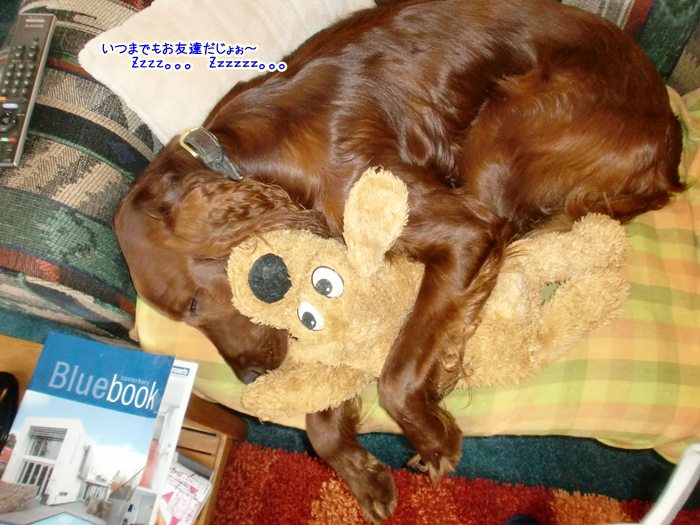 f:id:coppa06:20101014164827j:image f:id:coppa06:20101014164827j:image