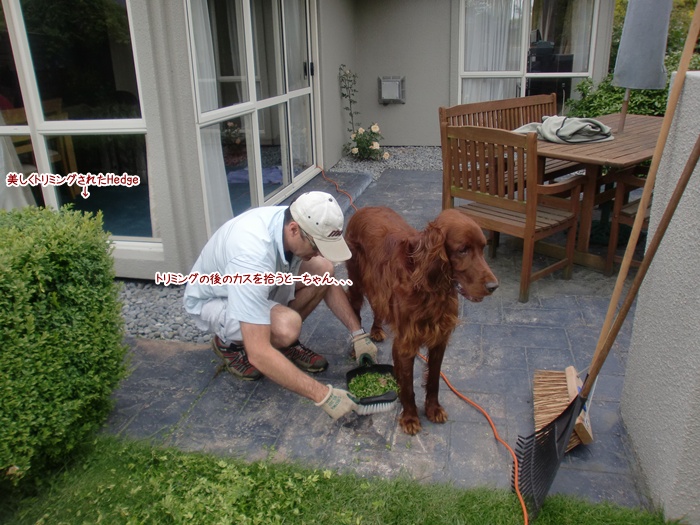 f:id:coppa06:20111207135655j:image f:id:coppa06:20111207135655j:image