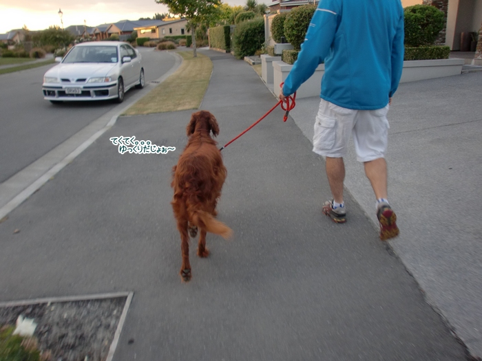 f:id:coppa06:20120113123519j:image f:id:coppa06:20120113123519j:image