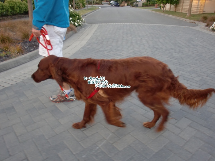 f:id:coppa06:20120113123520j:image f:id:coppa06:20120113123520j:image