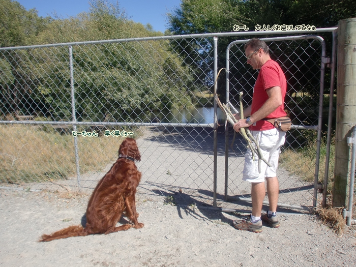 f:id:coppa06:20120122174802j:image f:id:coppa06:20120122174802j:image