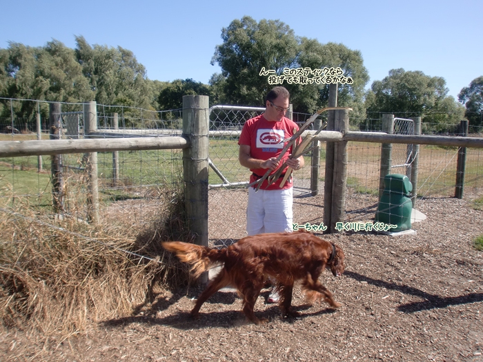 f:id:coppa06:20120122174803j:image f:id:coppa06:20120122174803j:image
