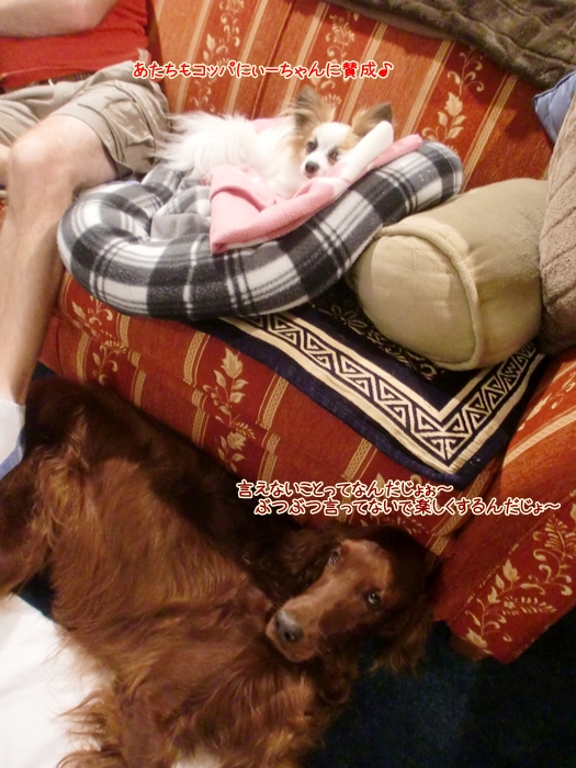 f:id:coppa06:20120508175852j:image f:id:coppa06:20120508175852j:image
