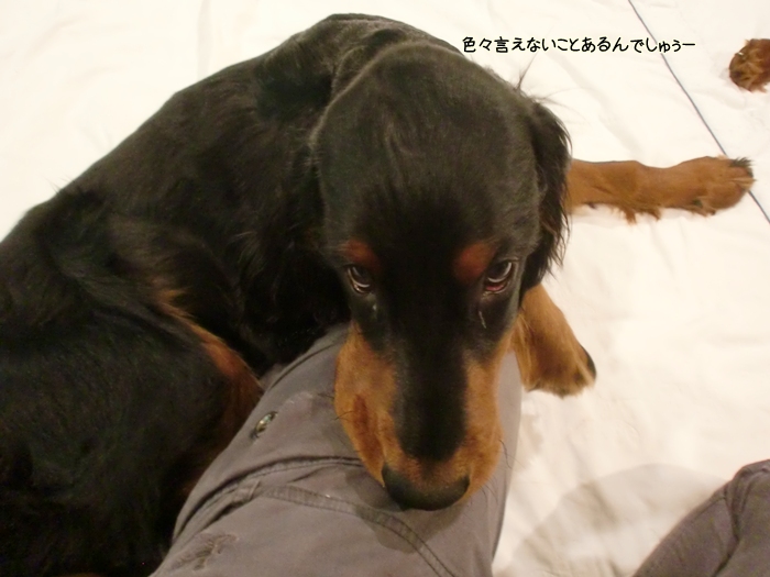 f:id:coppa06:20120508175853j:image f:id:coppa06:20120508175853j:image