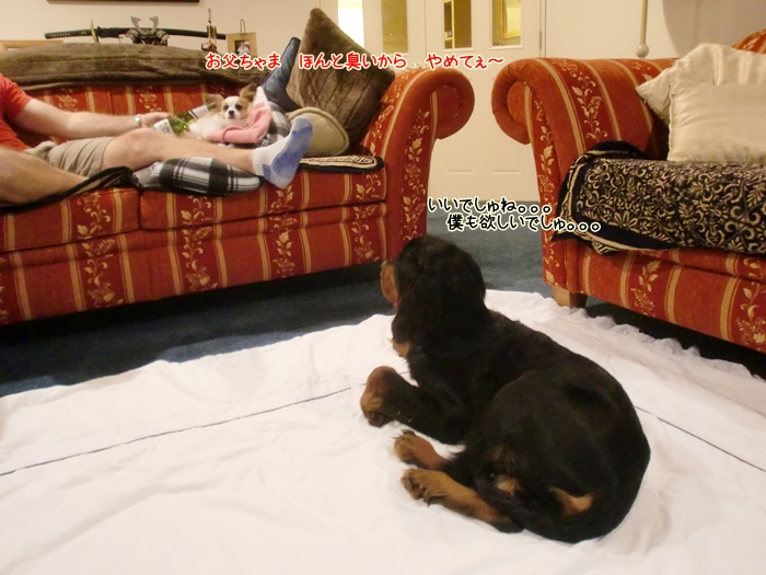 f:id:coppa06:20120508175855j:image f:id:coppa06:20120508175855j:image