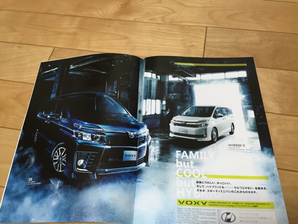 f:id:copucohana:20170228190823j:plain