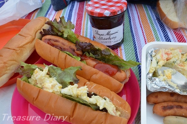 f:id:copucohana:20170608212113j:plain