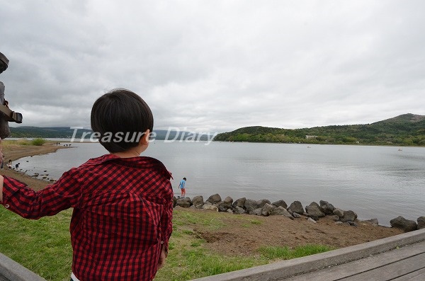 f:id:copucohana:20170608213322j:plain